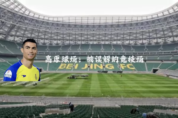 高原球场:被误解的竞技场
