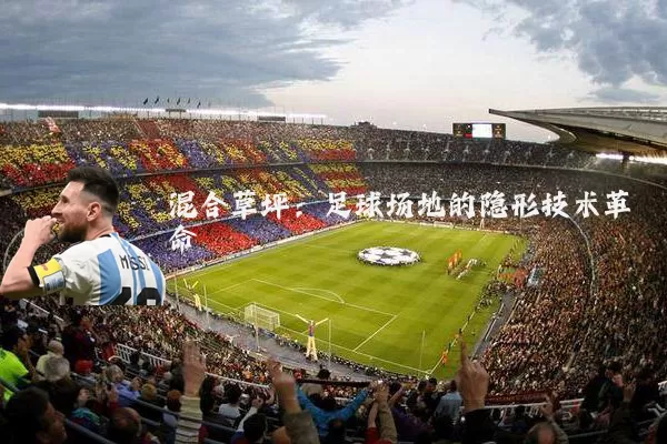 混合草坪:足球场地的隐形技术革命
